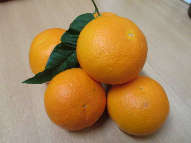 icon-Naranjas.jpg